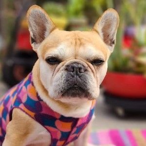 Meet your Posher, Karen